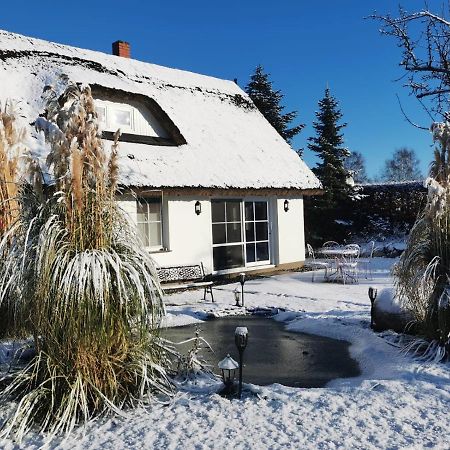 Reetferienhaus - Schaprode Hafen Exteriör bild
