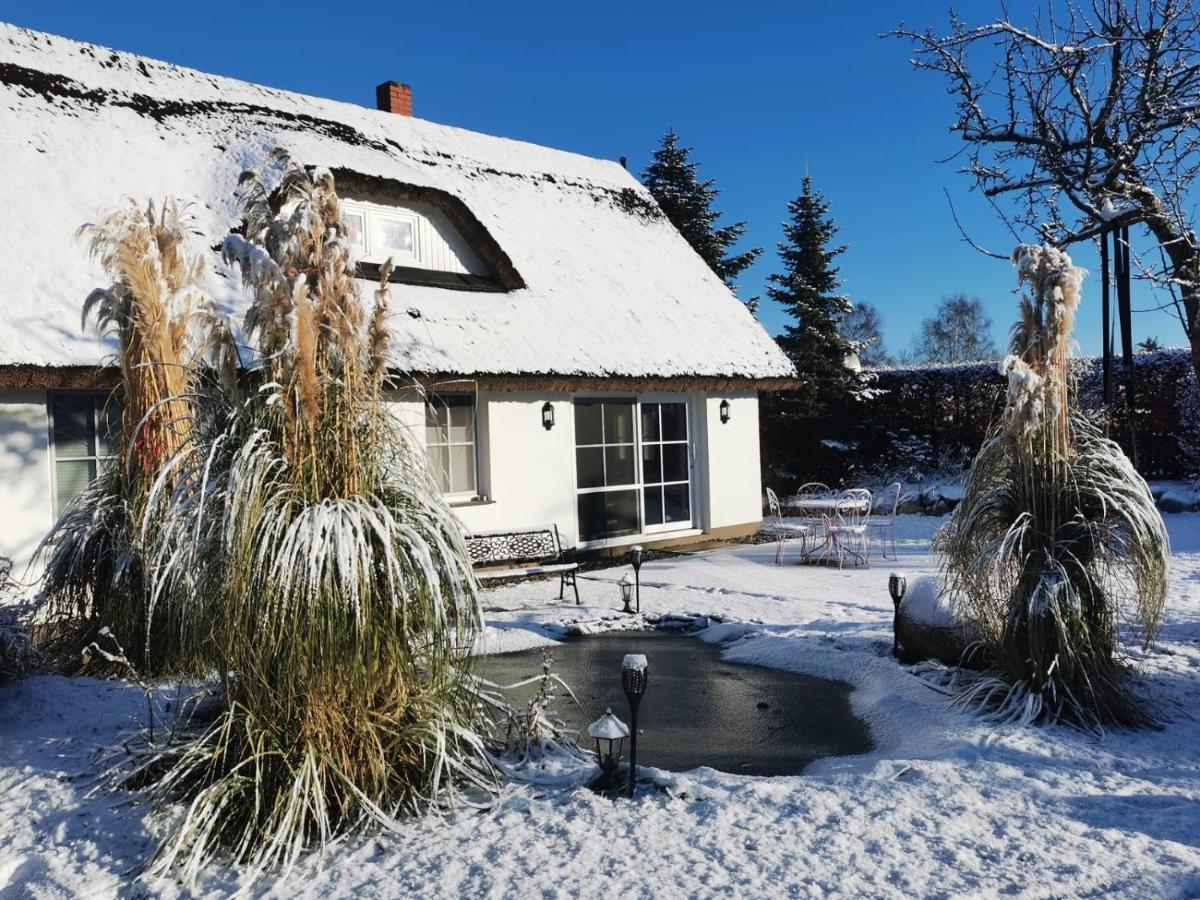 Reetferienhaus - Schaprode Hafen Exteriör bild
