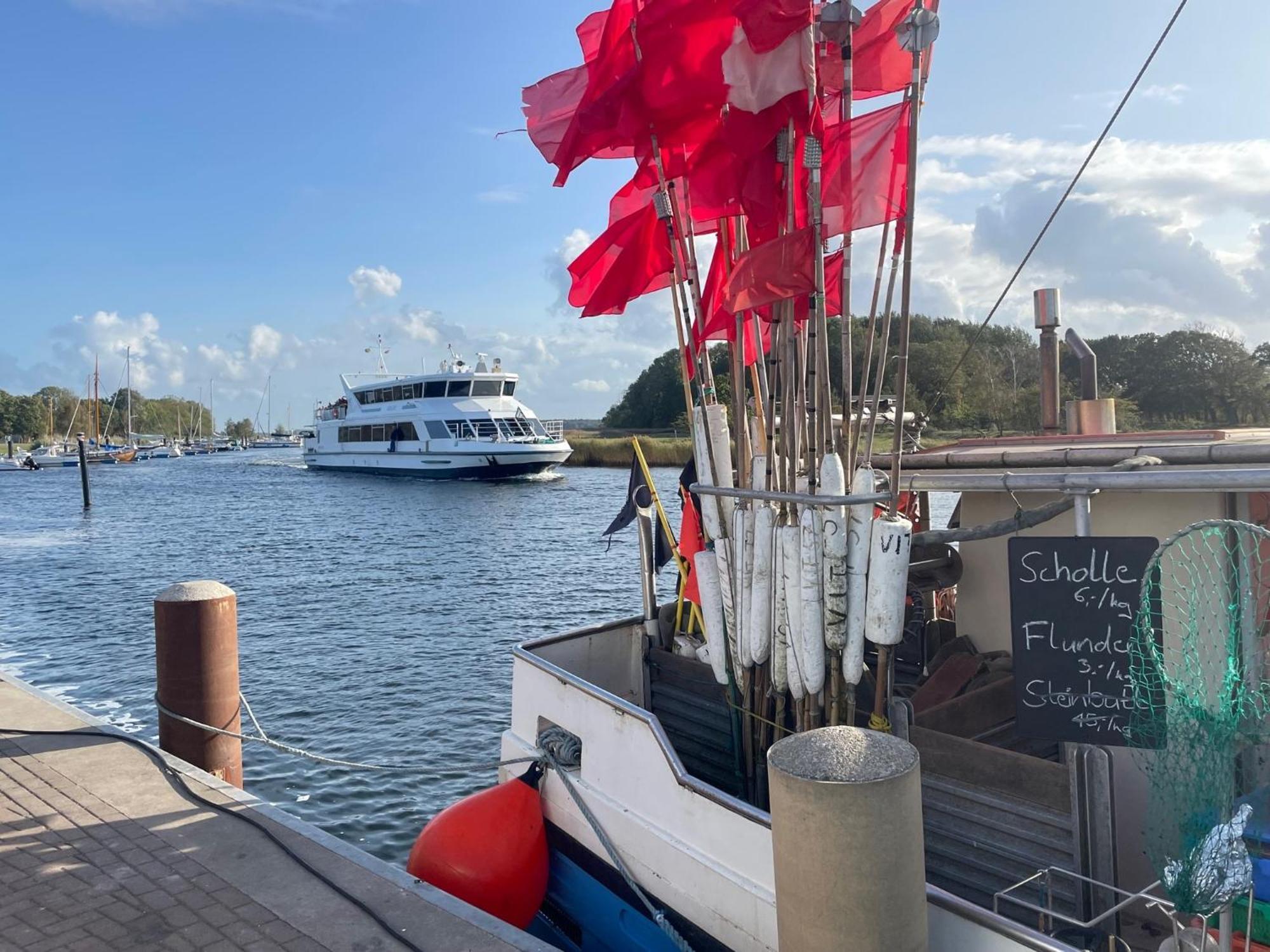 Reetferienhaus - Schaprode Hafen Exteriör bild
